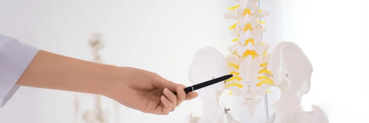 chiropractic schooling